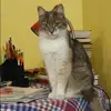 Отзыв от Лариса Золотова